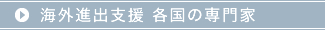 海外進出支援 各国の専門家